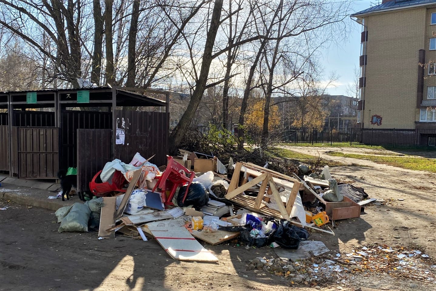 В квартирах мухи и мыши